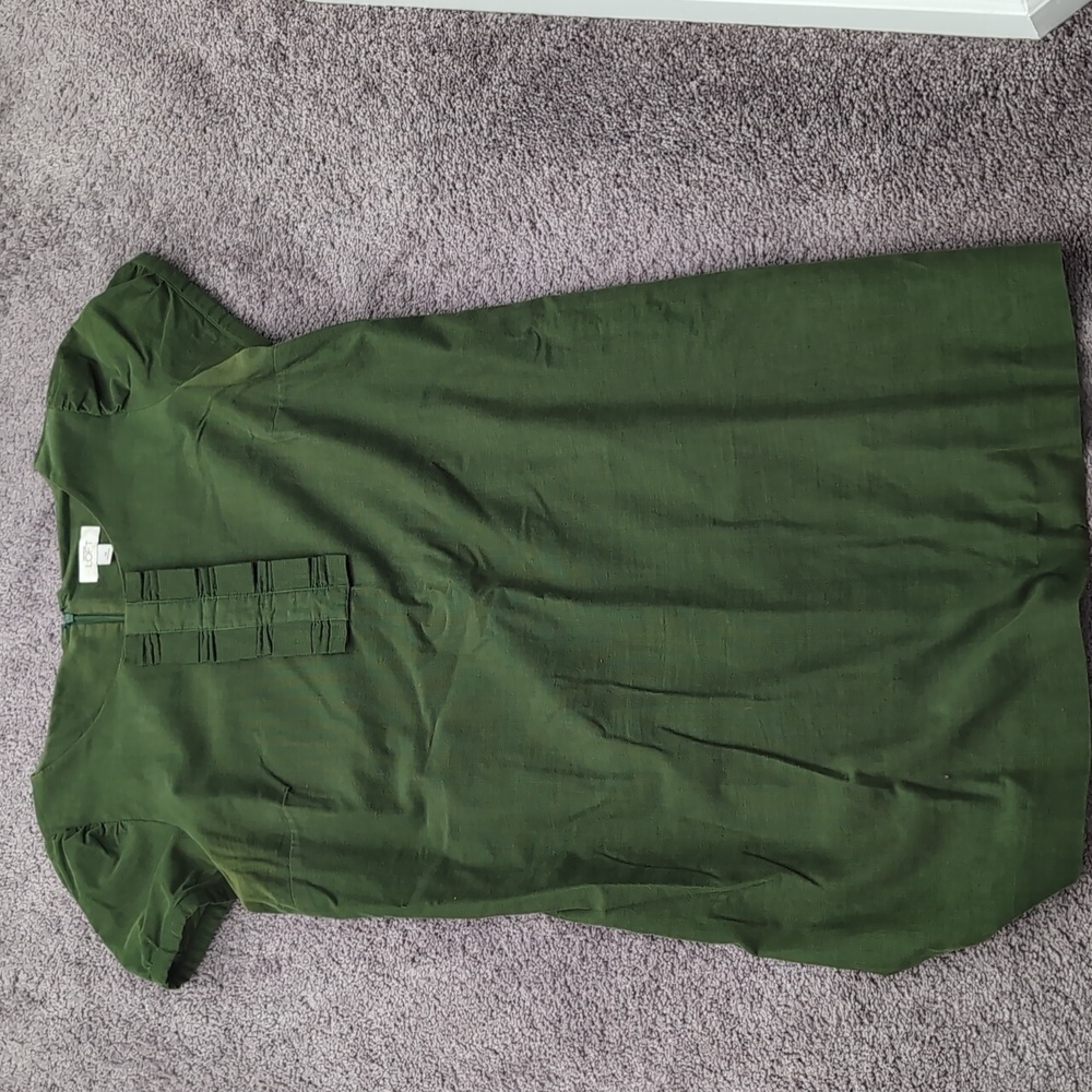 Ann Taylor loft green dress worn little.